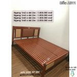 Các mẫu giường sắt giá rẻ kích thước 1m,1m2,1m4,1m6 9