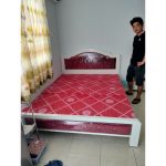 Giường ngủ sắt giá rẻ 1m2, 1m4, 1m6, 1m8 x dài 2m 19