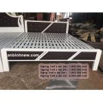 Giường Ngủ Đơn Giá Rẻ 1m2 1m4 1m6 AB115