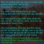 #7 Mẫu giường tầng bằng sắt đẹp, giảm giá, đang khuyến mãi 16