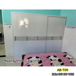 Những mẫu tủ nhựa đựng đồ, treo quần áo. Khuyến mãi 20